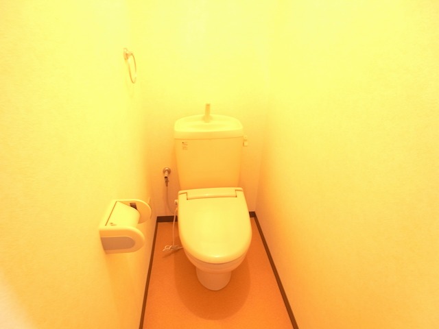 Toilet. Inverted type