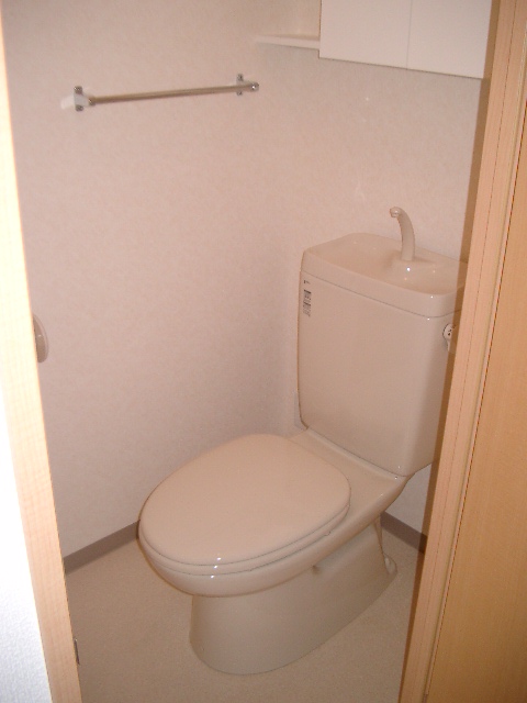 Toilet. Installing a storage rack