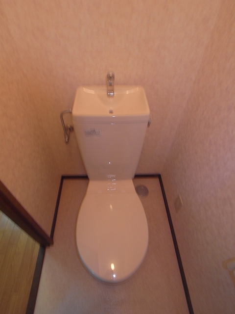 Toilet. The same type