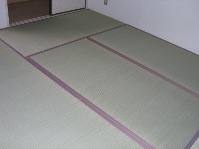 Living and room. Japanese style room