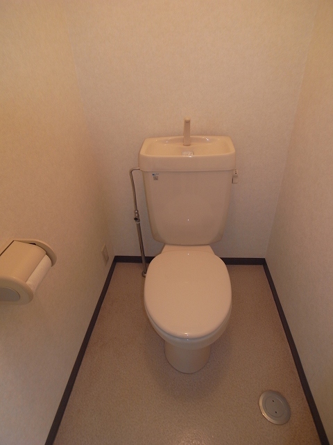 Toilet. The same type