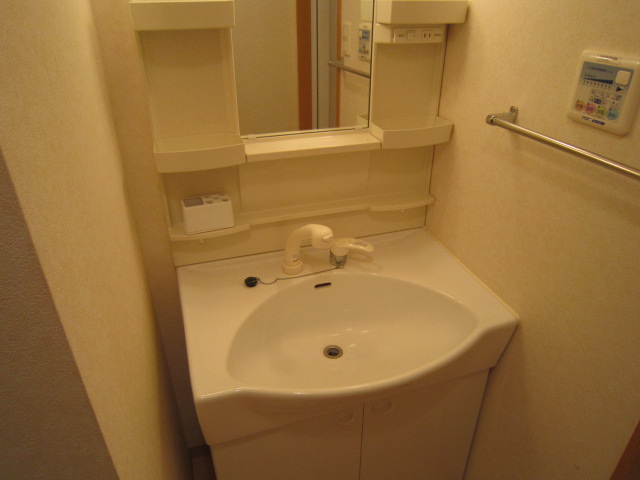 Washroom. Shampoo dresser