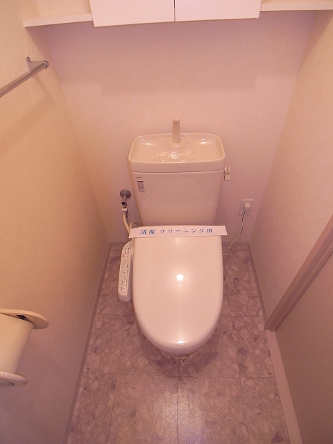 Toilet. The same type