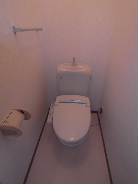 Toilet. The same type