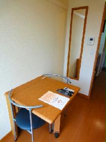 Other. Full-length mirror and folding table