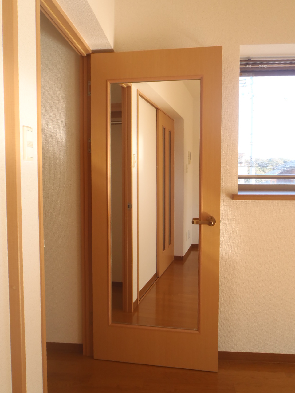 Other. Have mirror is attached to the door, Very convenient