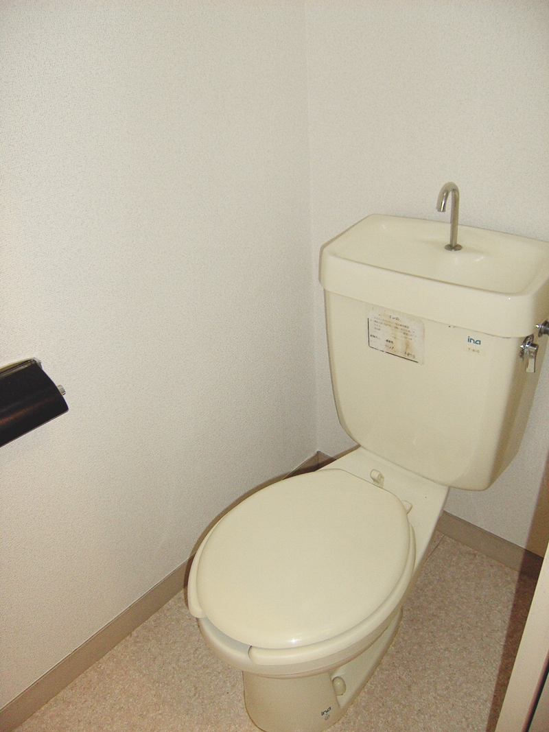 Toilet. It is a photograph after renovation