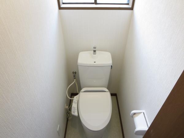 Toilet. Exchange did toilet cleaning heating toilet seat