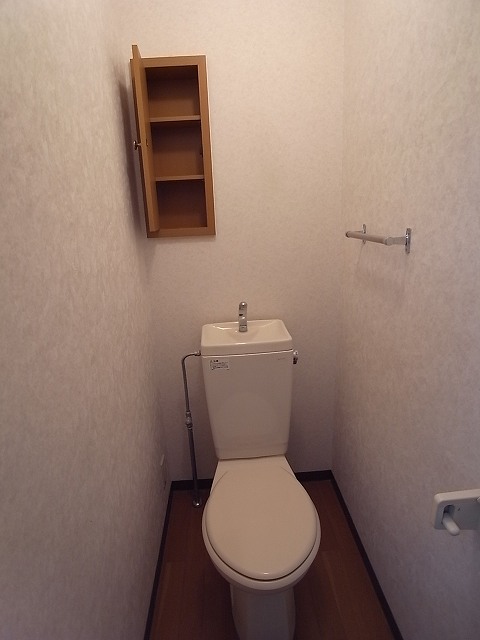 Toilet. The same type