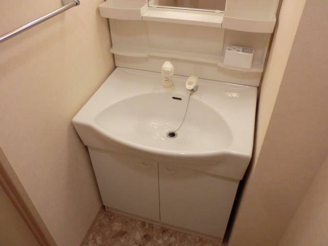 Washroom. Shampoo dresser