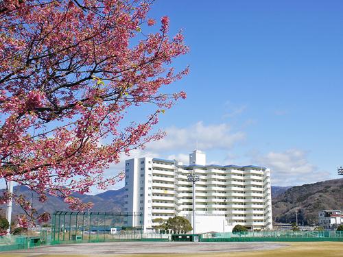Local appearance photo. Sakura and Seaside Spa Nishiizu Doi