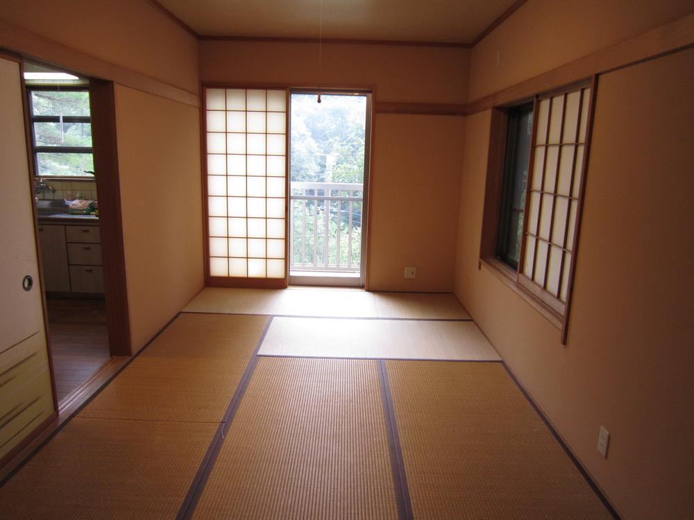 Other introspection. Japanese style room