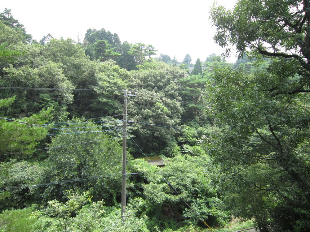 View photos from the dwelling unit. Surrounded by green environment