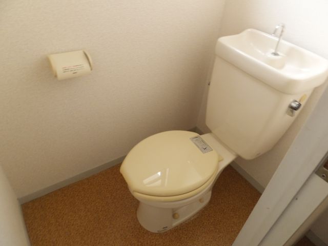 Toilet. Japanese style room