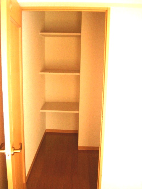 Receipt. Walk-in closet that can store plenty