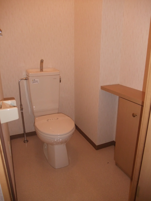 Toilet. With storage shelves