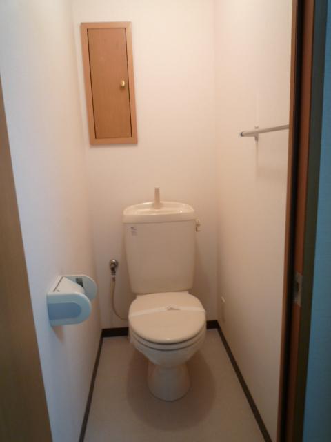 Toilet. Storage room!