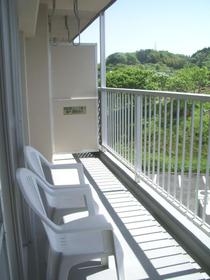 Balcony. Veranda