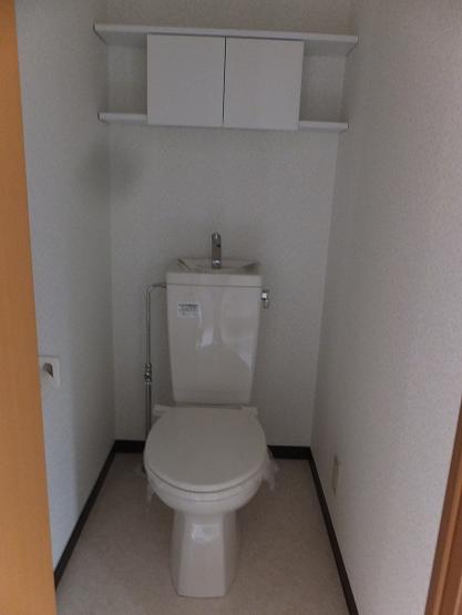 Toilet. With a convenient shelf