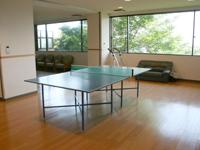 Other common areas. Table tennis