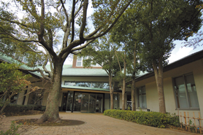 library. Convenient and adjacent to City new home library public facilities
