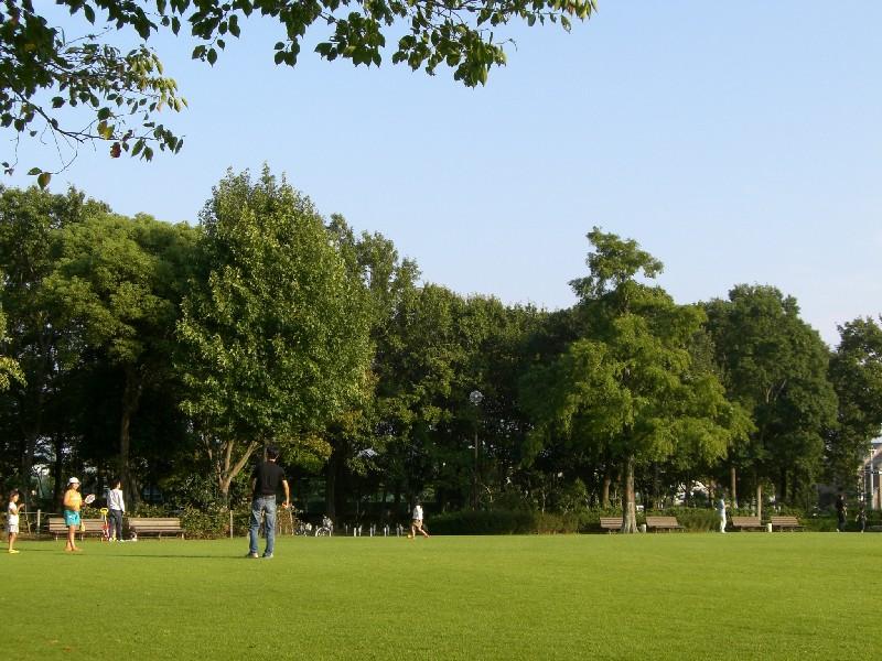 park. 200m until the new house cultural park