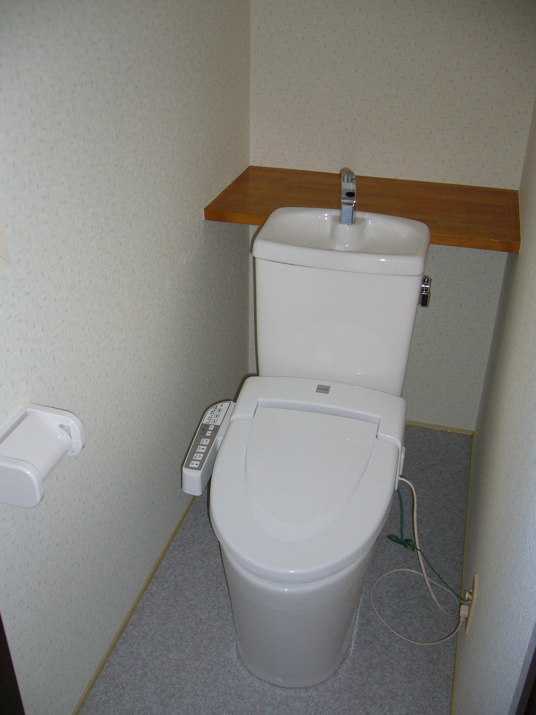 Toilet. It is a new article