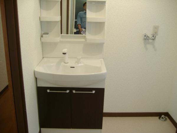 Wash basin, toilet. Here I chose a little luxury. It is a new article