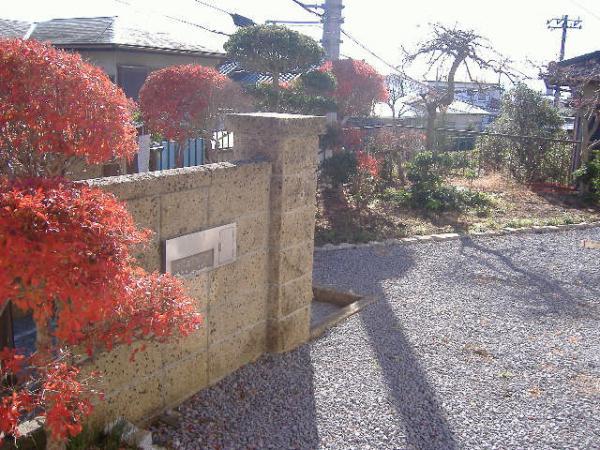 Garden. Is the end soon also mini autumn leaves.