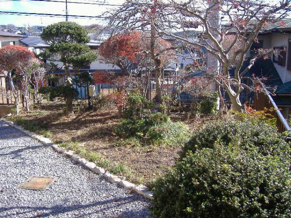 Garden. Finish of your garden, you are requested to favorite planting in the buyer-like responsibility.