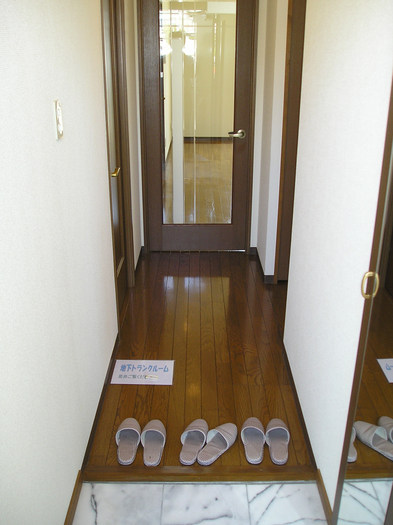 Entrance. It is a mirror with a shoebox
