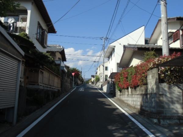 Other. The entire surface of the road