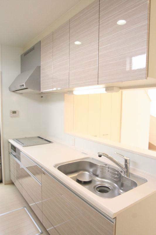 Kitchen. Face-to-face kitchen