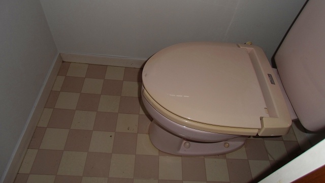 Toilet