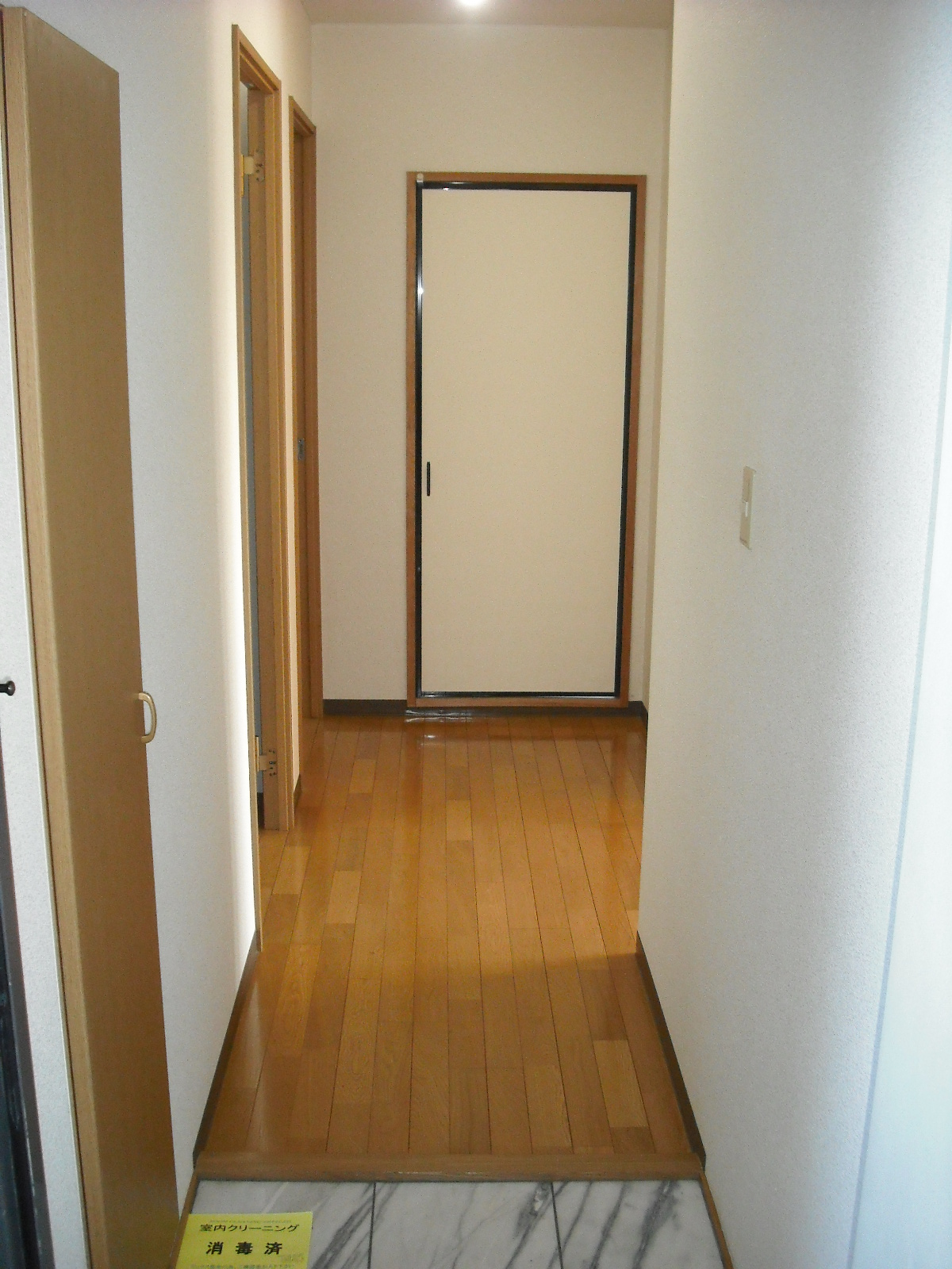 Entrance. Entrance hall