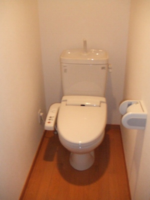 Other. Toilet with shower