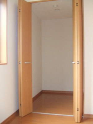 Other. Walk-in closet