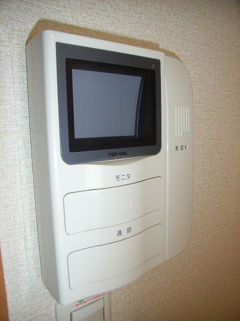 Security. TV monitor with intercom