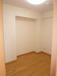 Other introspection. Walk-in closet