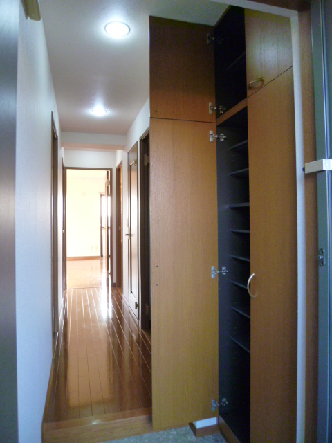 Entrance. Storage is plenty in the cupboard of tall size.