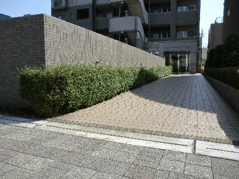 Other local. Slope up to the entrance