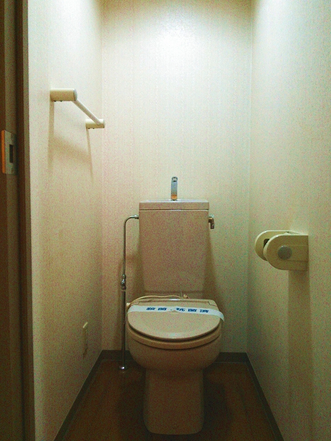 Toilet. Heating toilet seat