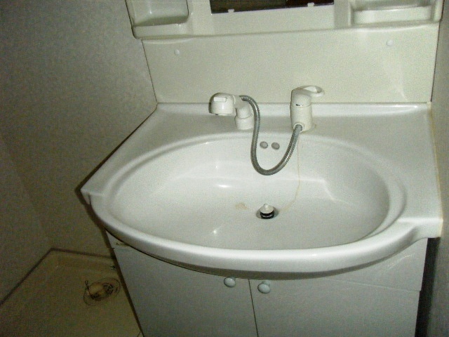 Washroom. Shampoo dresser with