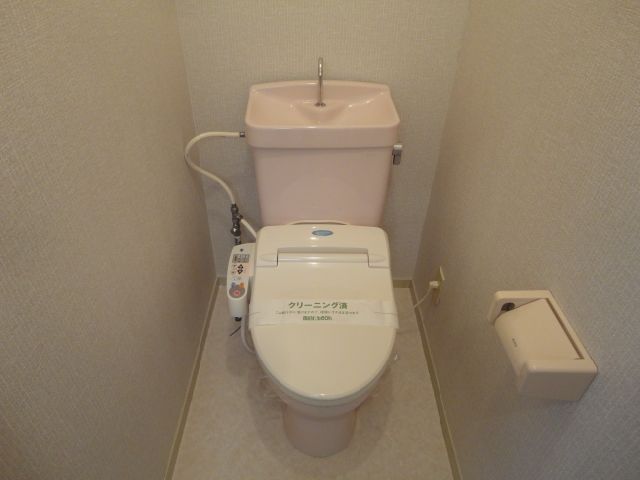 Toilet. Clean cleaning function with toilet.