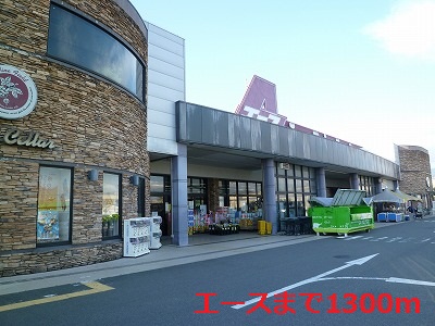 Supermarket. 1300m to Ace (Super)