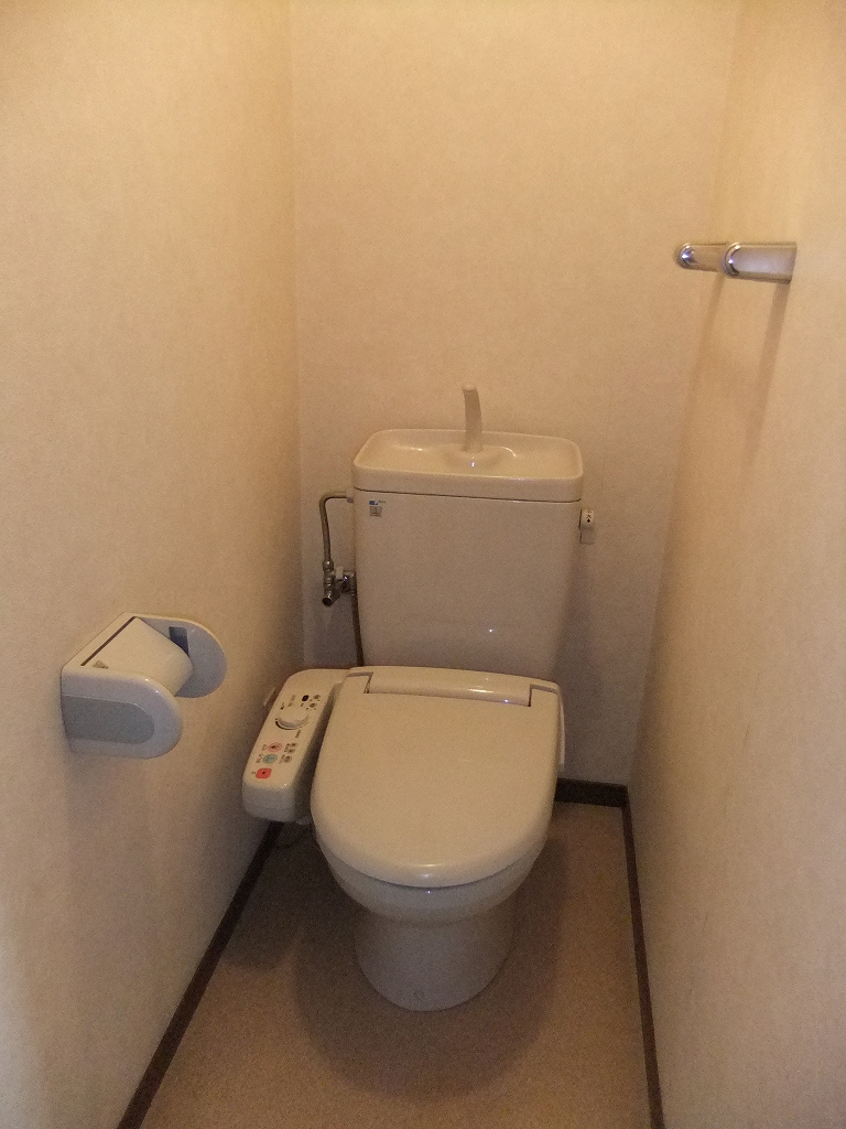 Toilet. Washlet with