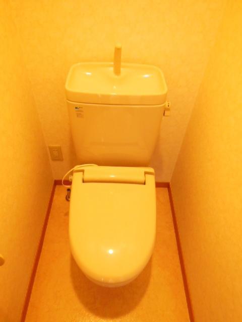 Toilet. Winter buttocks warmth in the heating toilet seat