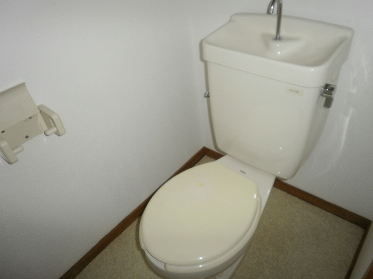 Toilet