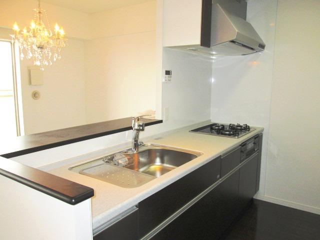 Kitchen. Indoor shooting