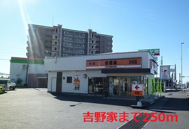 restaurant. 250m to Yoshinoya (restaurant)